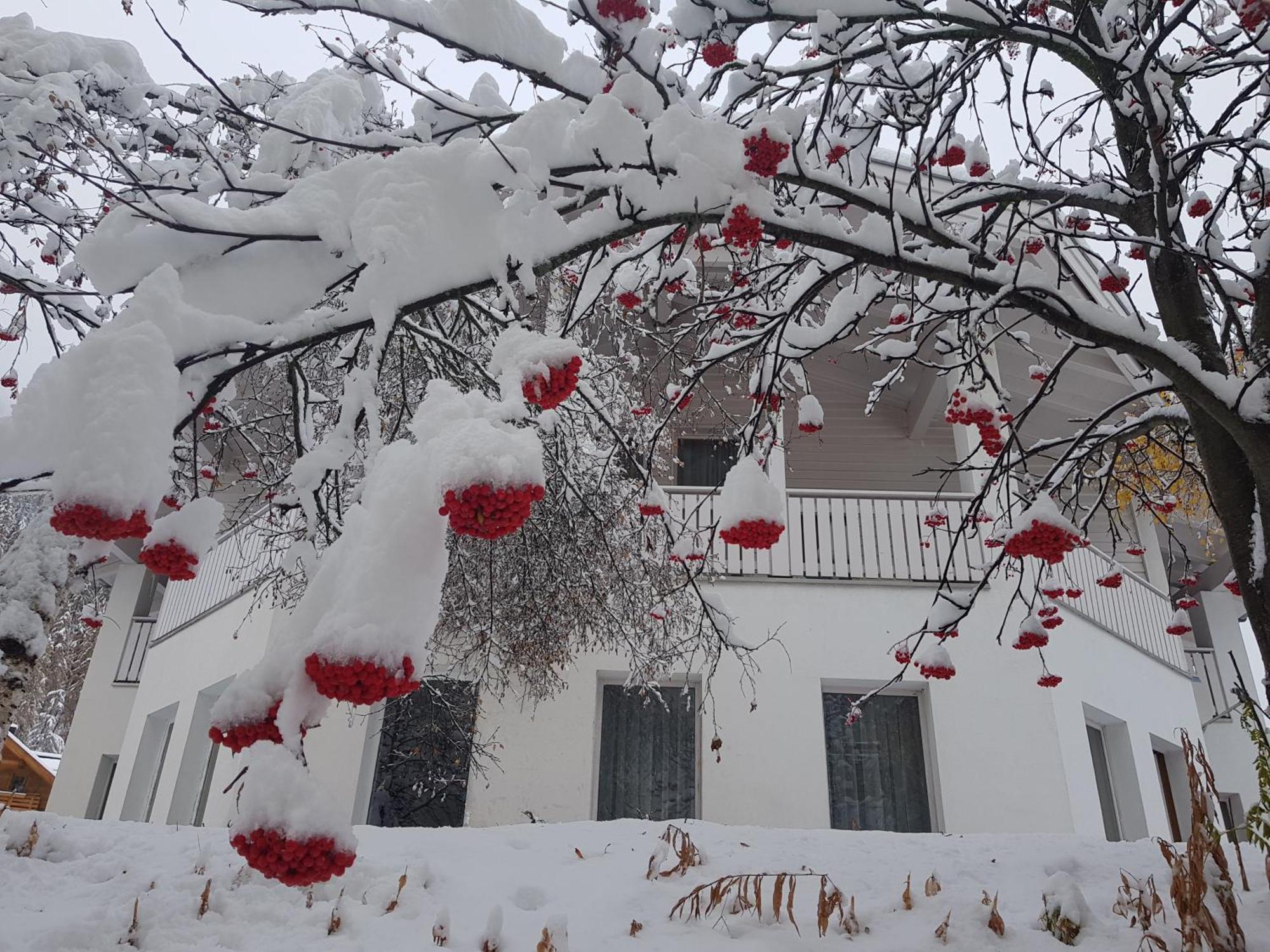 Apart Foresta Samnaun Bagian luar foto